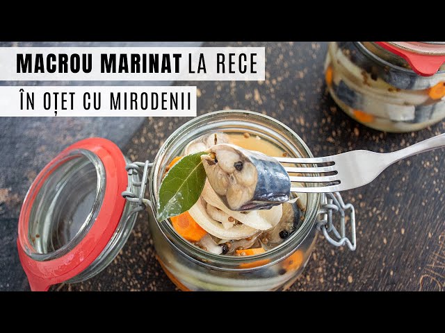 'Video thumbnail for Macrou marinat la rece, în oțet cu multe mirodenii | Bucate Aromate'