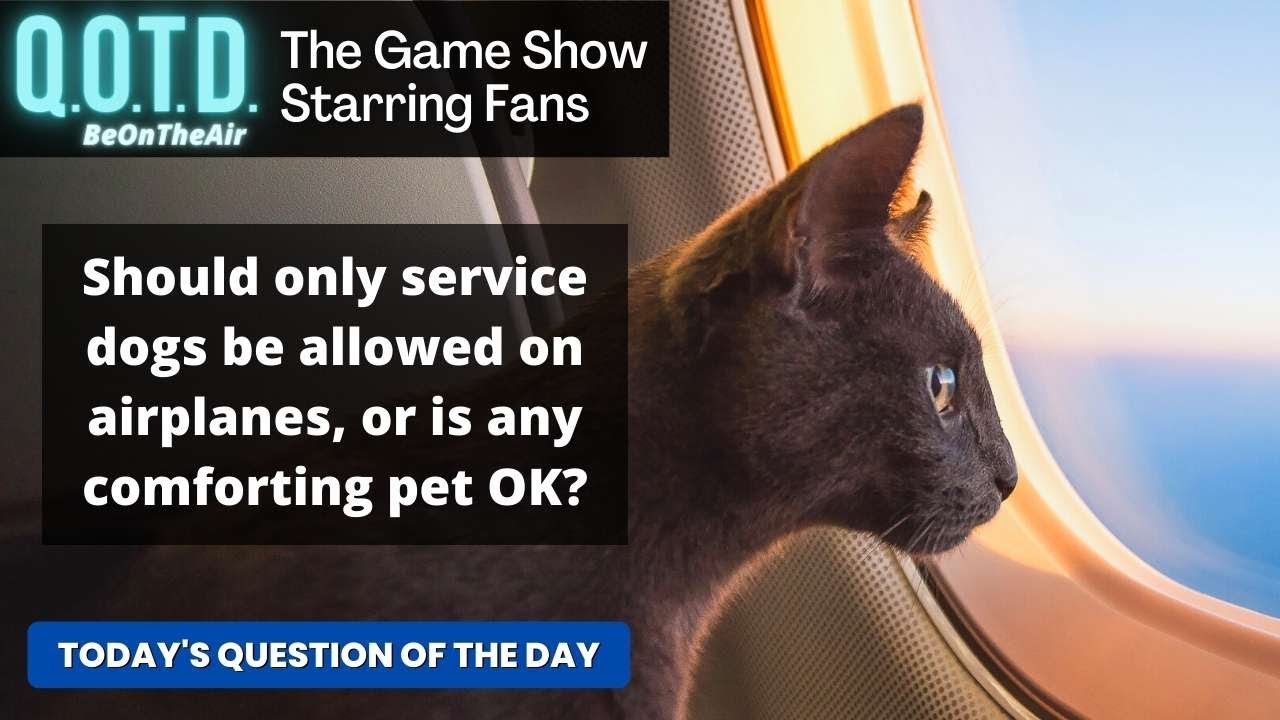 Playlist thumbnail for QOTD #56789: Pets on Planes!