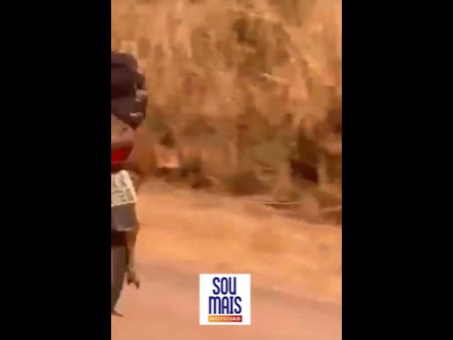 'Video thumbnail for Motociclista é flagrado transportando veado morto na garupa de moto na BR-153; Vídeo'
