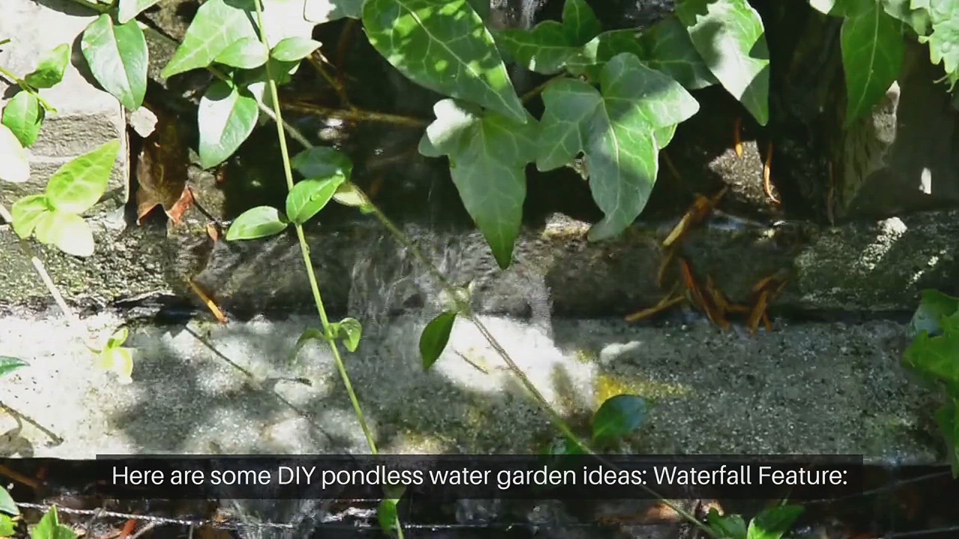 'Video thumbnail for DIY Pondless Water Garden Ideas'