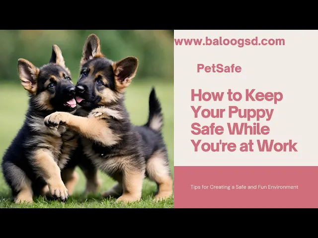 'Video thumbnail for How to Make Sure Your Puppy is Safe While You’re Gone'
