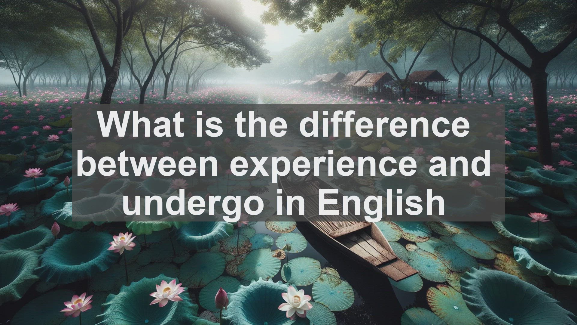 'Video thumbnail for What is the difference between experience and undergo in English?'