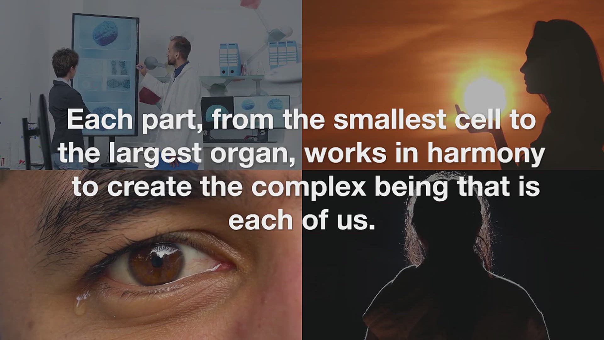 'Video thumbnail for 5 Interesting Facts About Your Body'