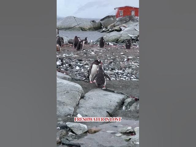 Video thumbnail for Nature