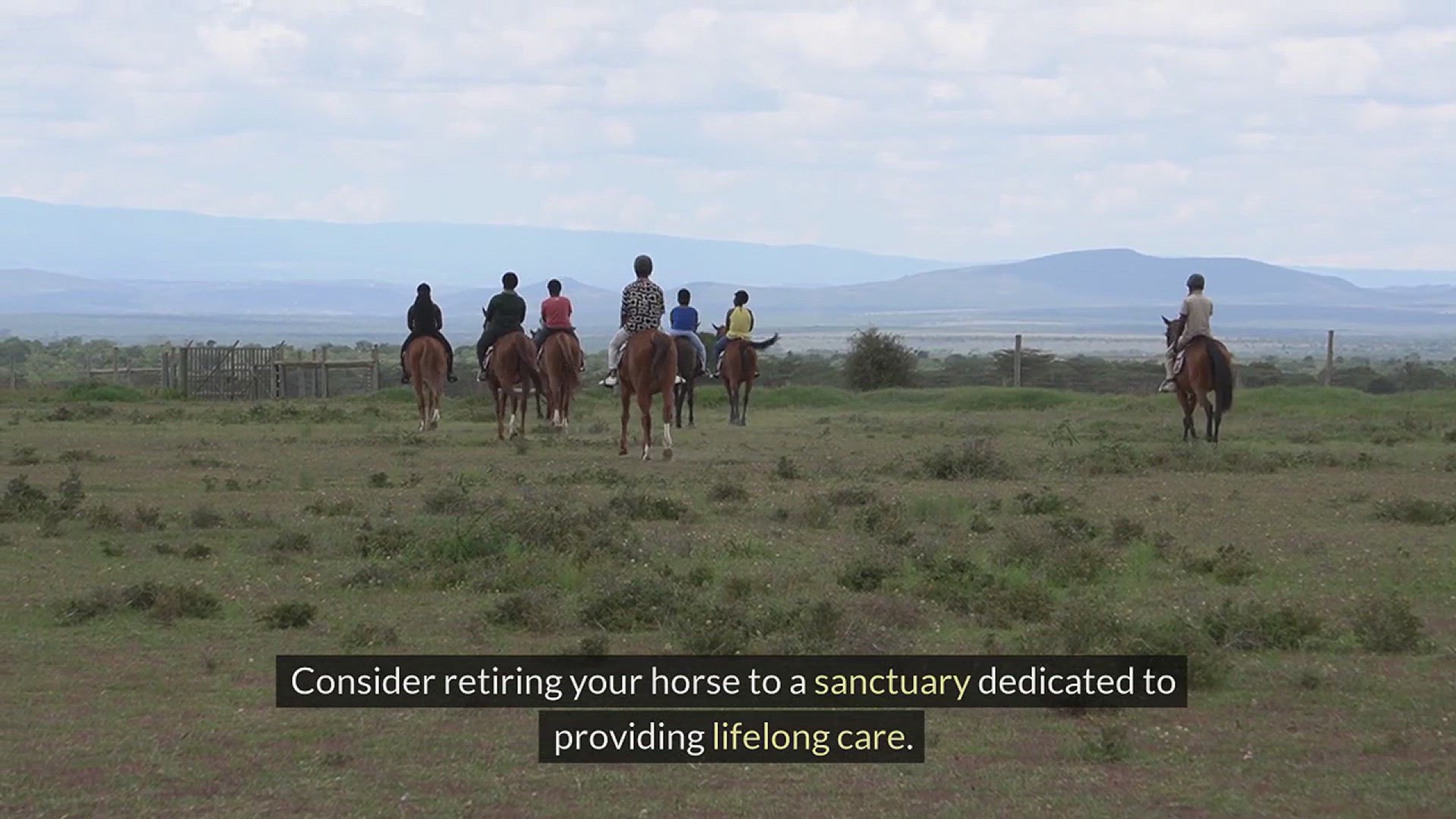 Video thumbnail for What To Do With An Old Horse?