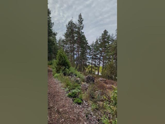 Video thumbnail for Hoy toca promocionar #HoyMásQueSiempre #EstiloBanda #SalvadorSaavedra #SeValeCompartir