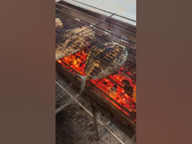 Video thumbnail for Grilled Fish Street Food in Thailand – Fresh Catch on Koh Lipe