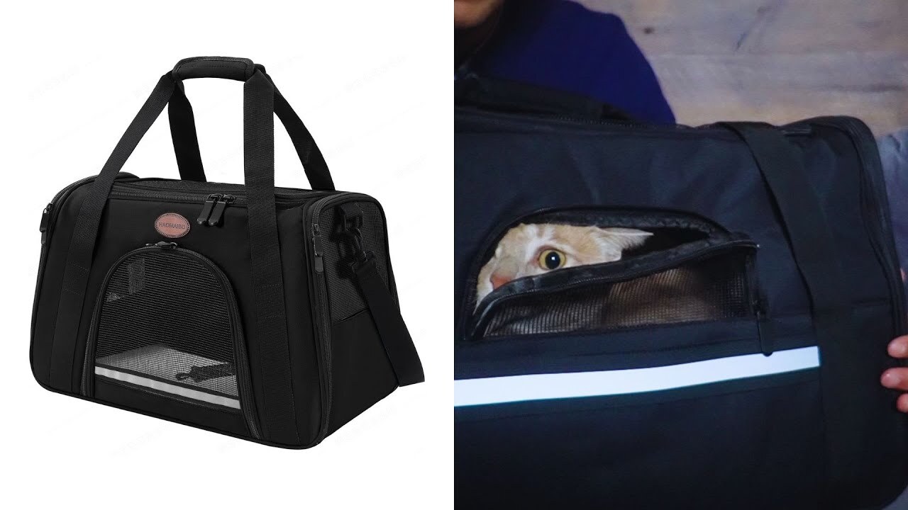 'Video thumbnail for HAOMAIBD Pet Carrier | Does My Cat Like This?'