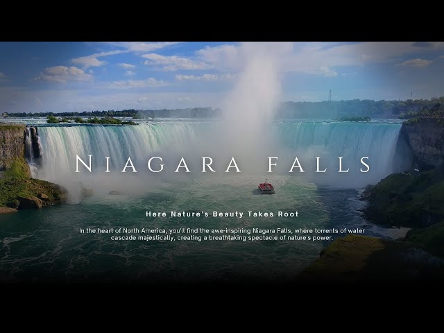 Video thumbnail for This CHANGED Everything About My View of Nature (90 Minutes From Toronto)