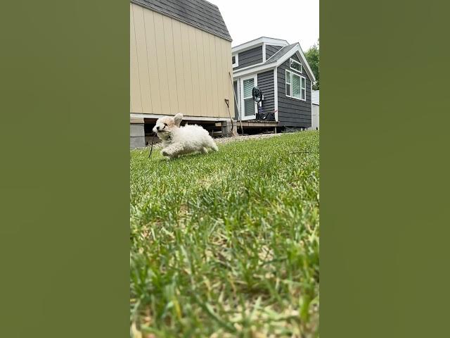 Video thumbnail for 👋 #shorts