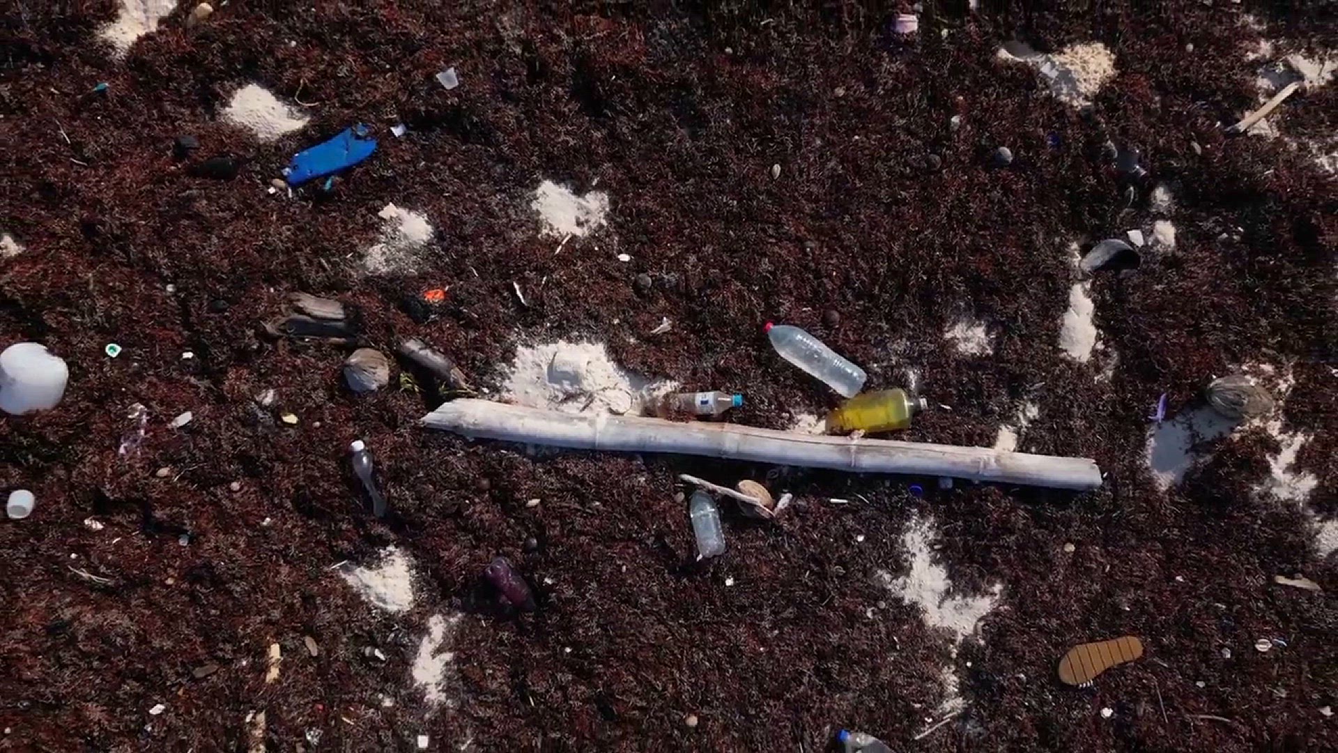 Video thumbnail for Microplastics Impact on the Environment & Human Health