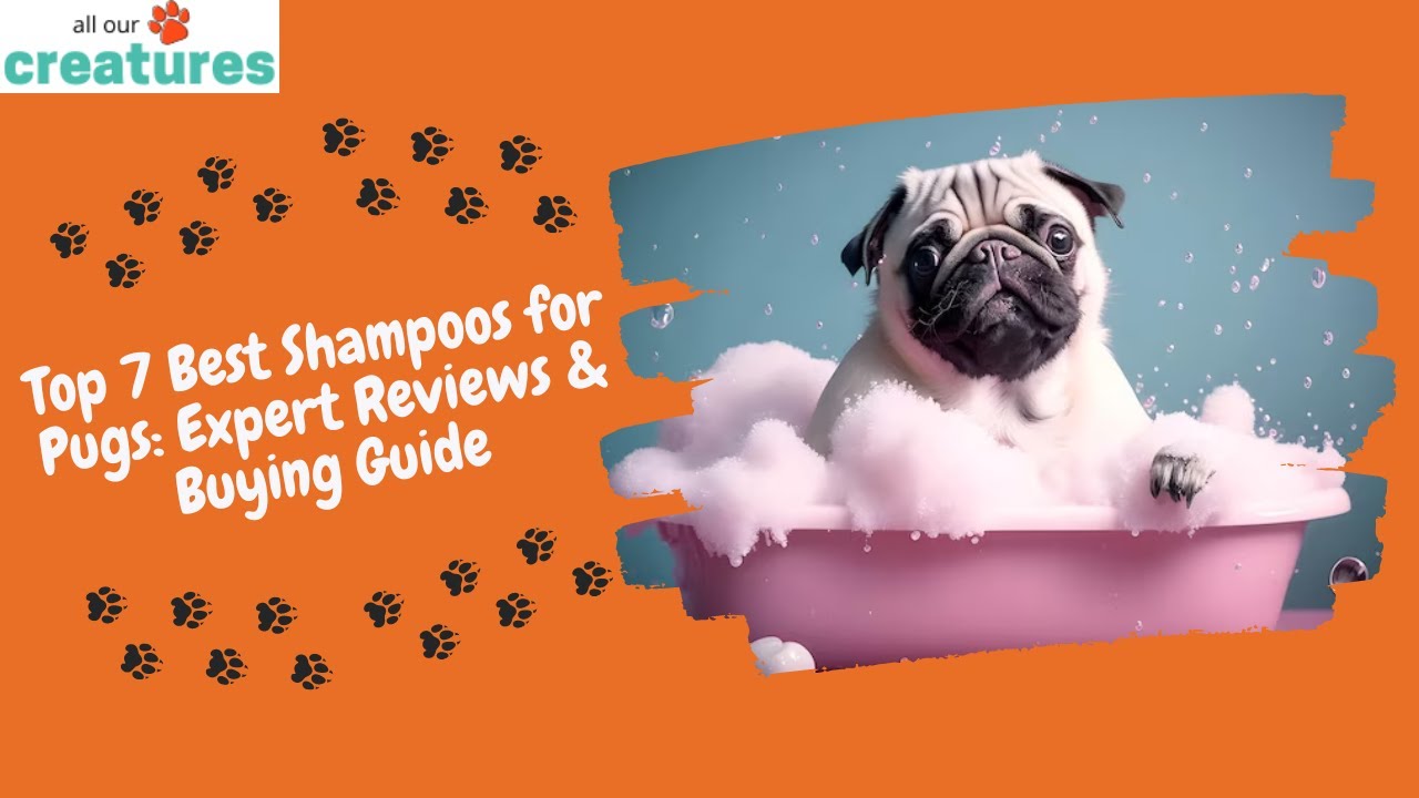 Moosh clearance dog shampoo