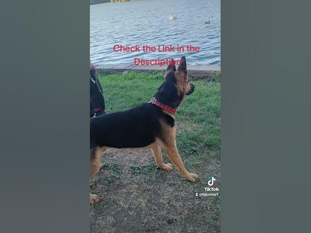 Video thumbnail for Gsd 101 2023 11 01 174428279