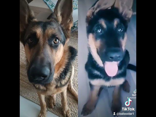 Video thumbnail for Gsd 101 2023 09 26 091358132