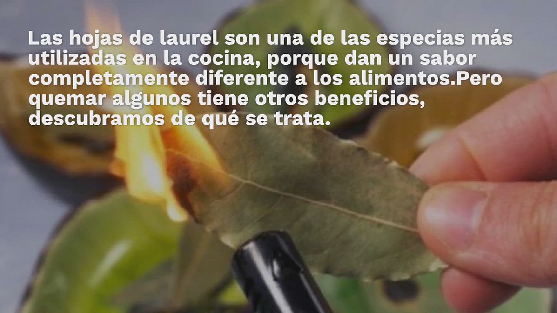 Video thumbnail for Quema hojas de laurel en casa, sorprende lo que pasa 10 minutos después