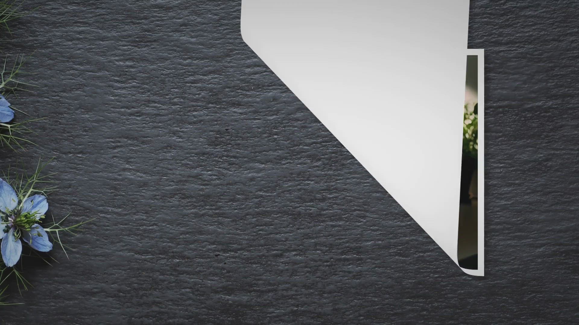 Video thumbnail for Bottom Watering Plants: Everything You Need To Know