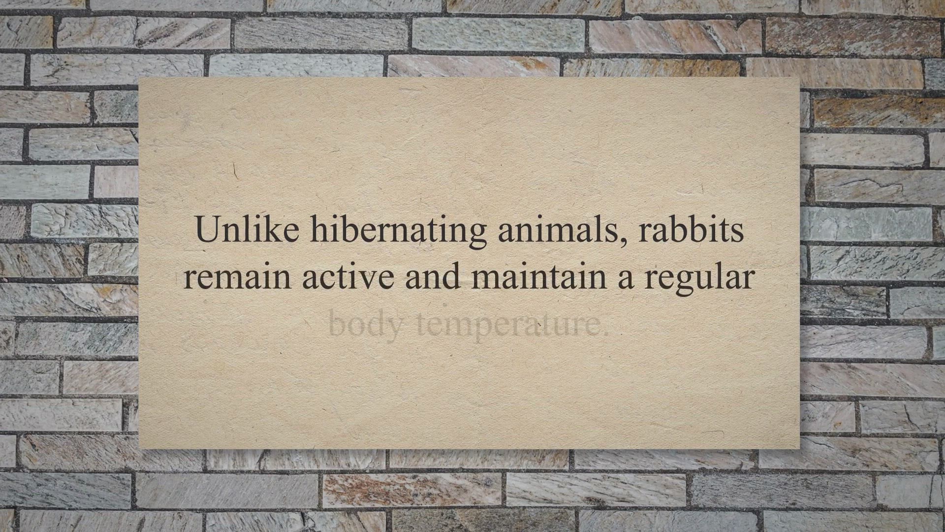 Video thumbnail for Do Rabbits Hibernate? Winter Survival Strategies