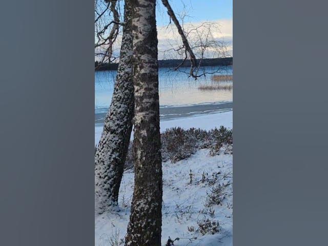 Video thumbnail for Back with the snow to our lake.