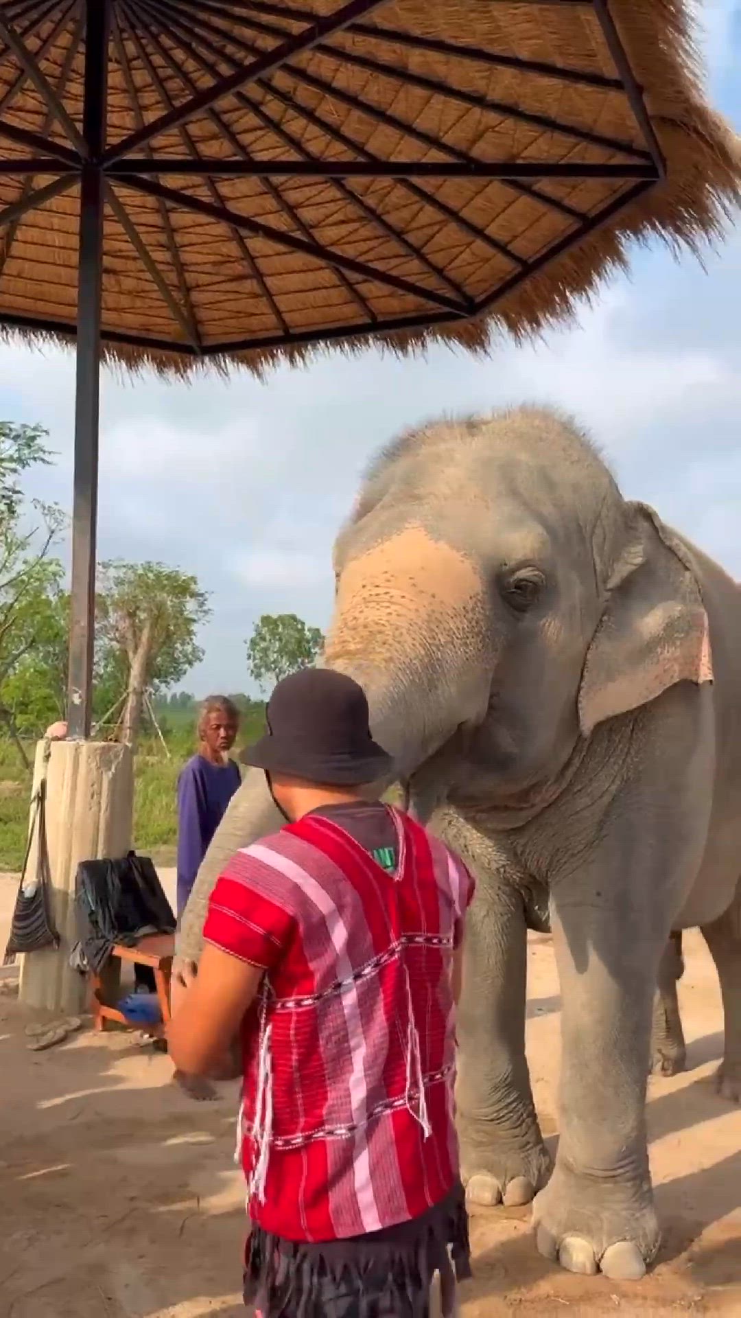 Video thumbnail for Giving Mud Spa Experience at The Elephant Jungle Sanctuary