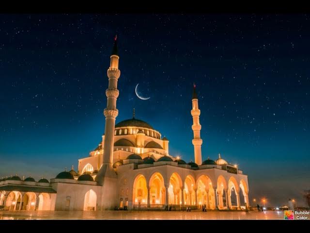 Video thumbnail for Palmer Bubble Color Art Gallery MAY232025