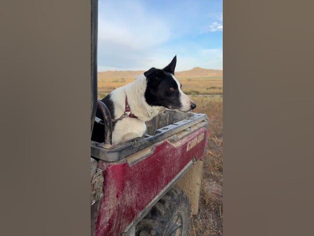 Video thumbnail for The Best Kitchen View in the World | Cooking for Cowboys on the Ranch
