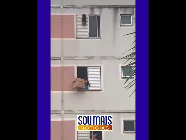 'Video thumbnail for Mulher usa caixa de papelão para salvar cachorrinha de cair do último andar de prédio em SP'