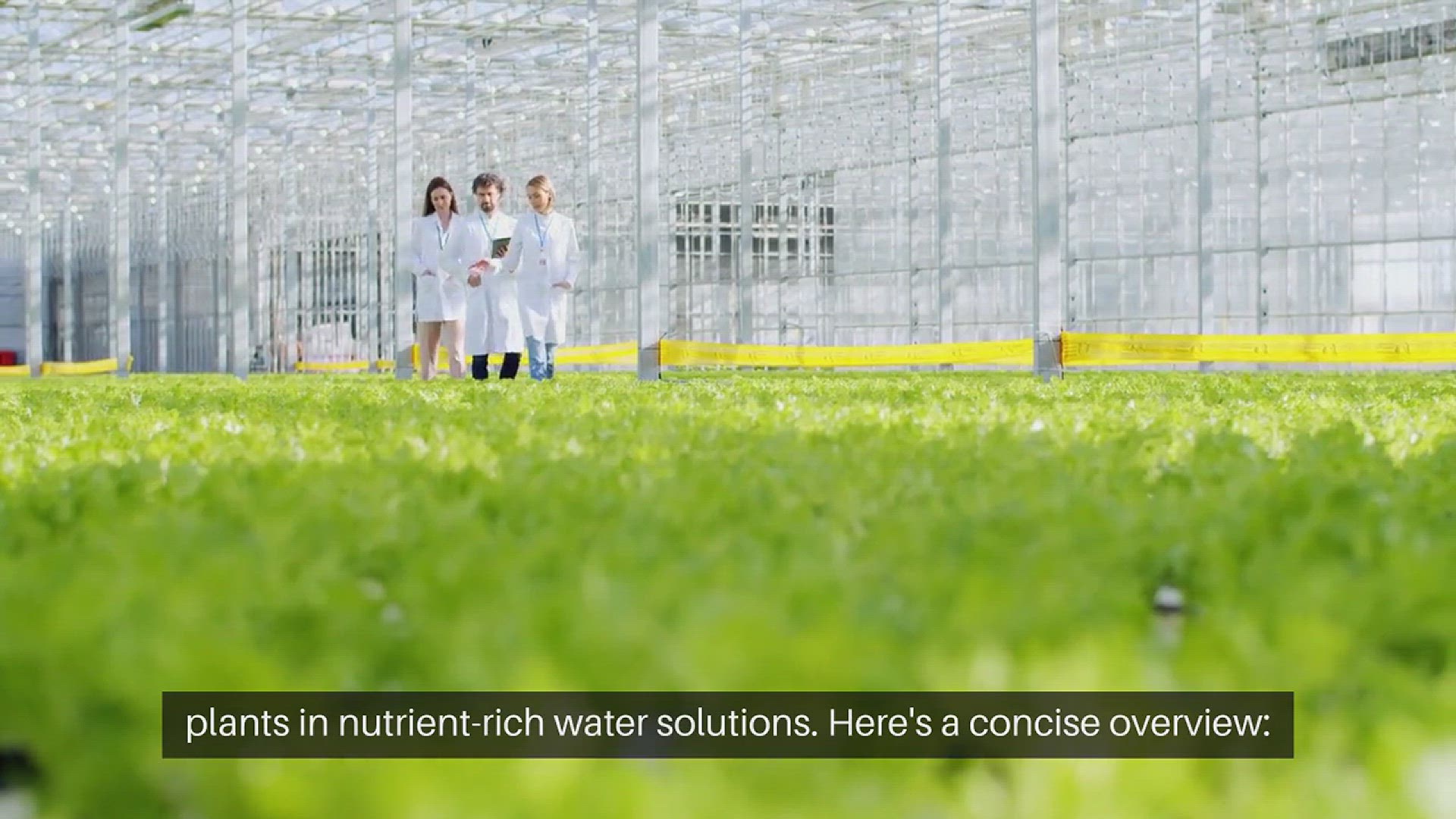 video of: Hydroponic Vegetable Gardening