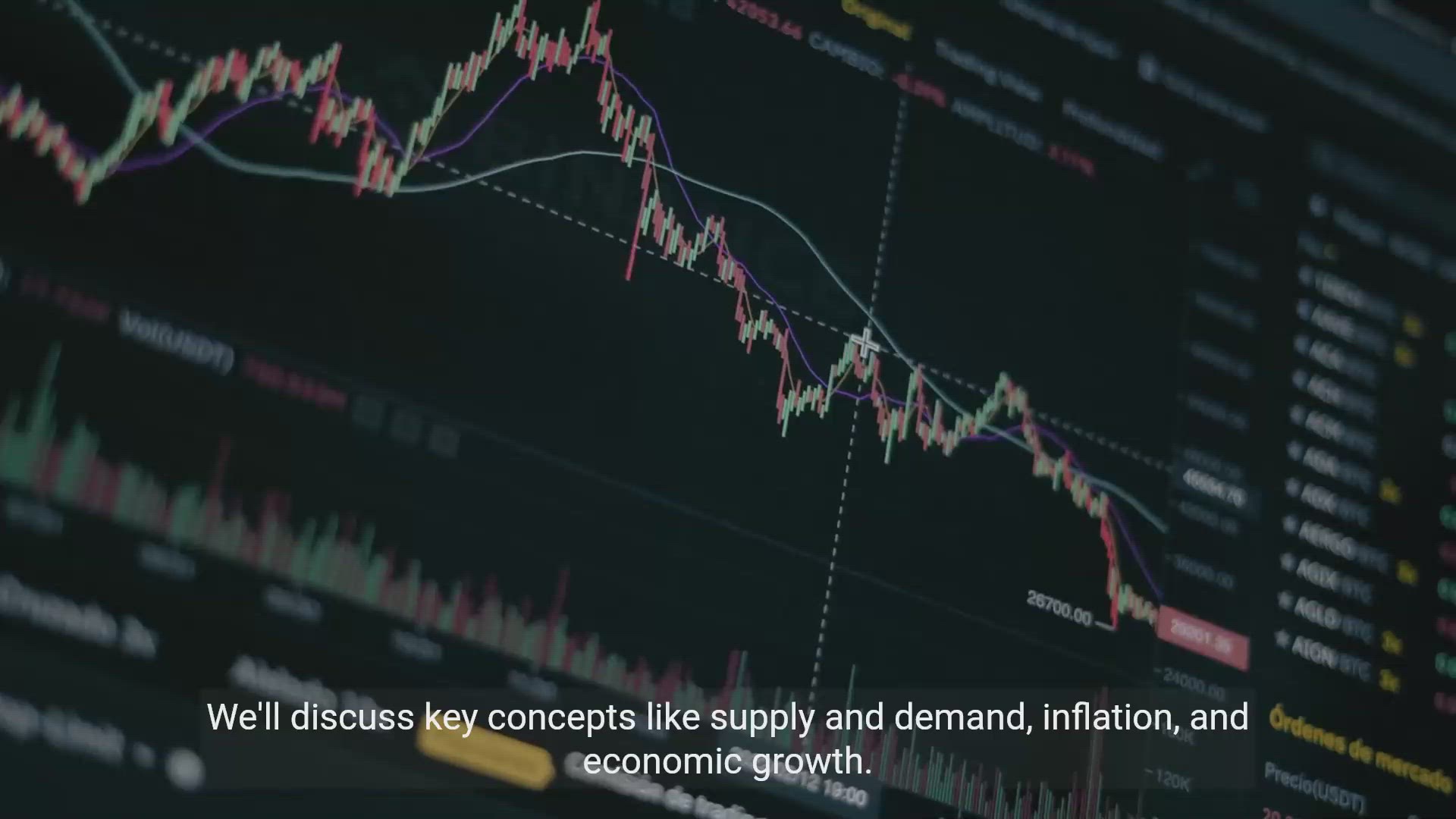 'Video thumbnail for Understanding Economics - Explained in Simple Terms'