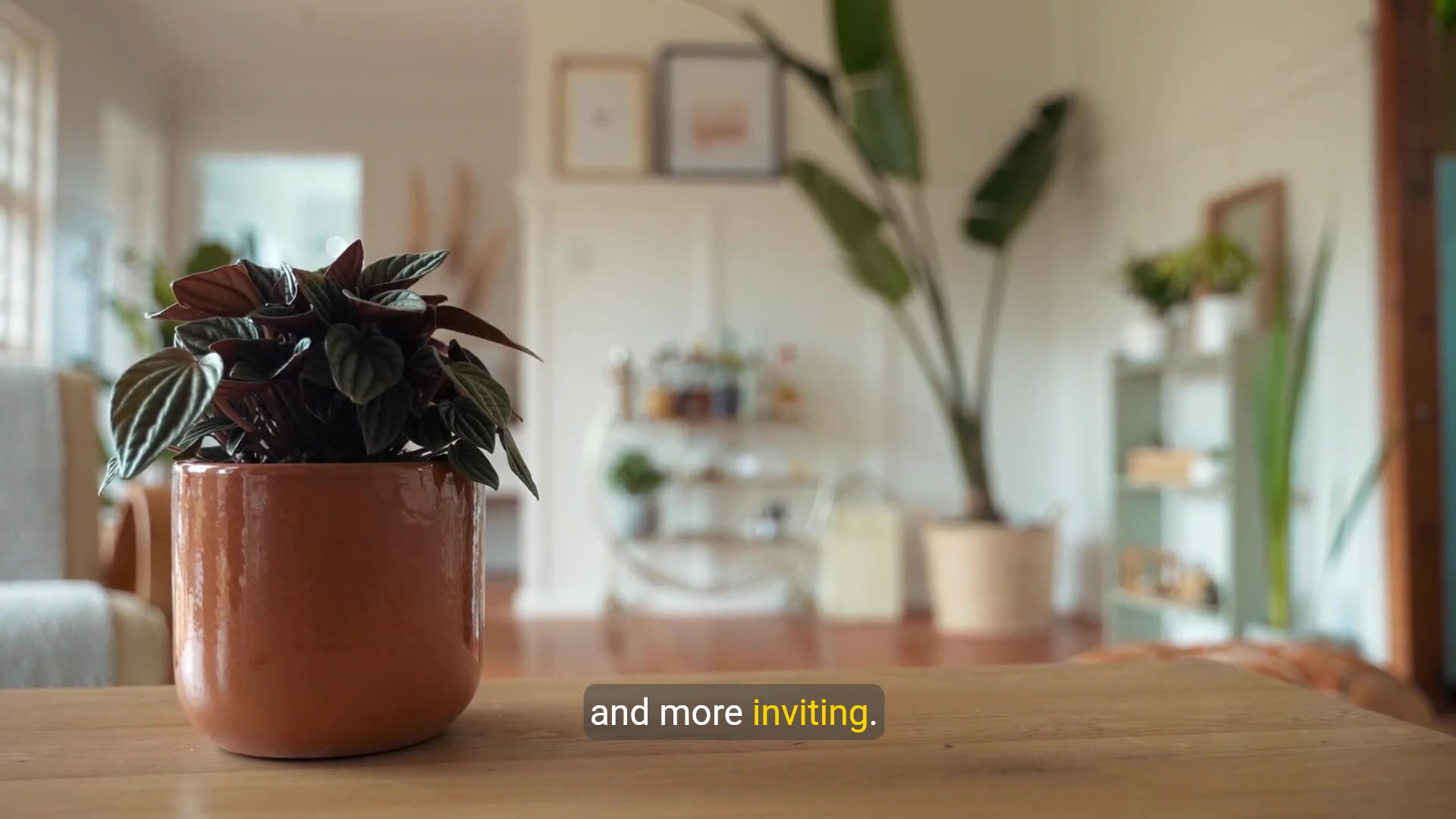 'Video thumbnail for Furniture Ideas for Living Room with Light Wood Flooring'