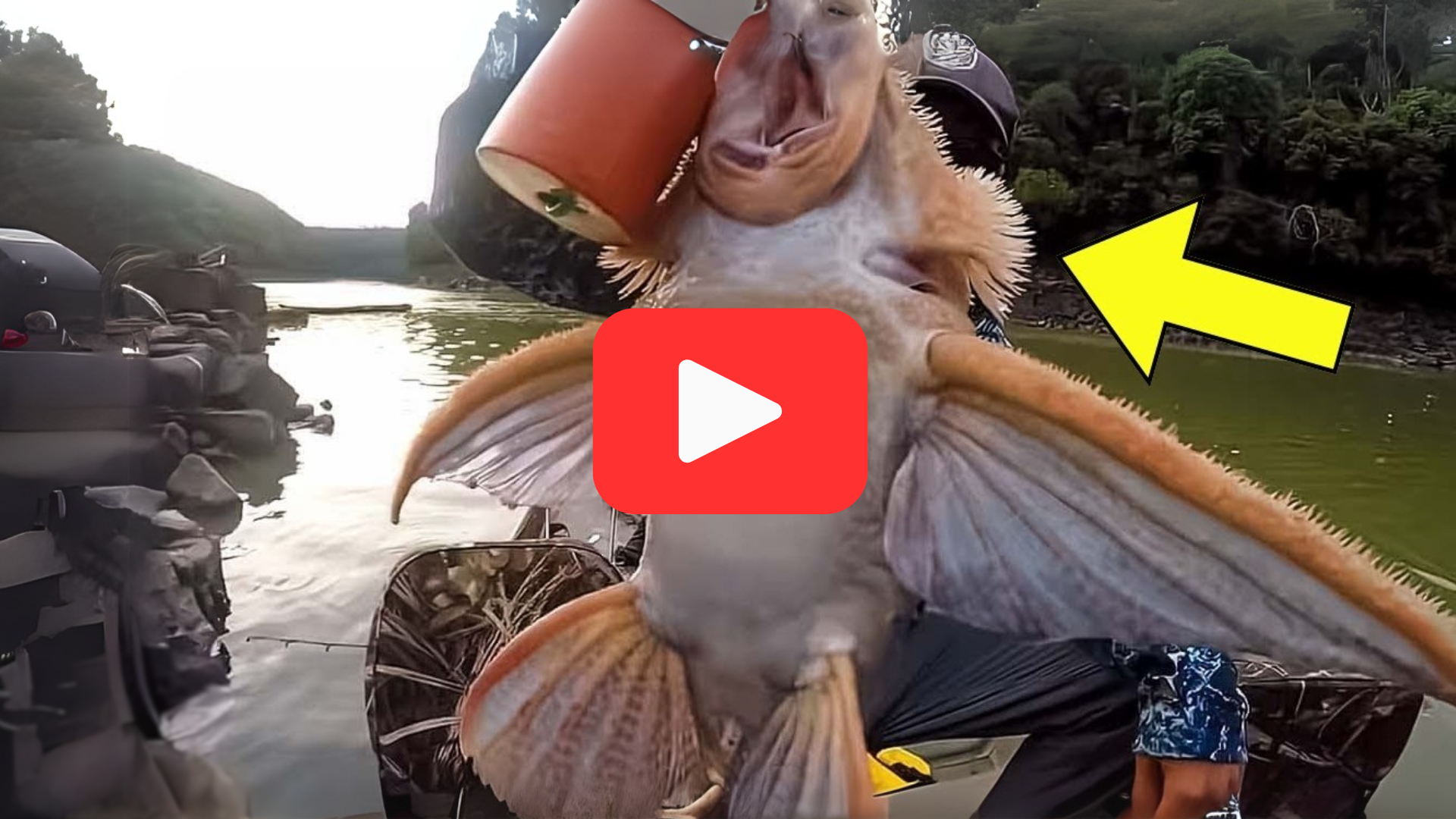 'Video thumbnail for Fisherman’s Shocking Find in the Deep Leaves Experts Stunned'