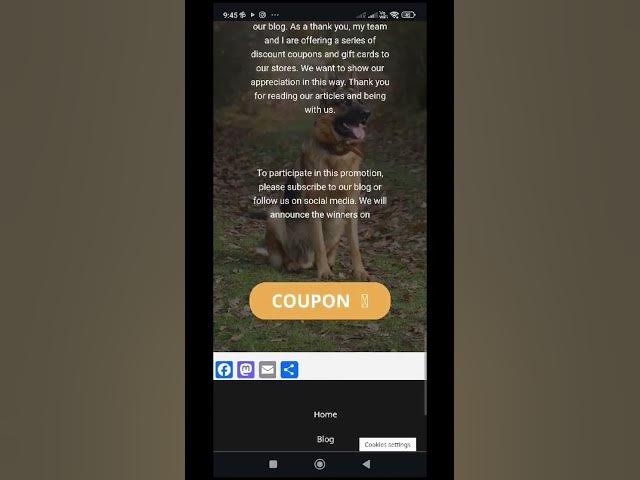 'Video thumbnail for https://www.baloogsd.com/'