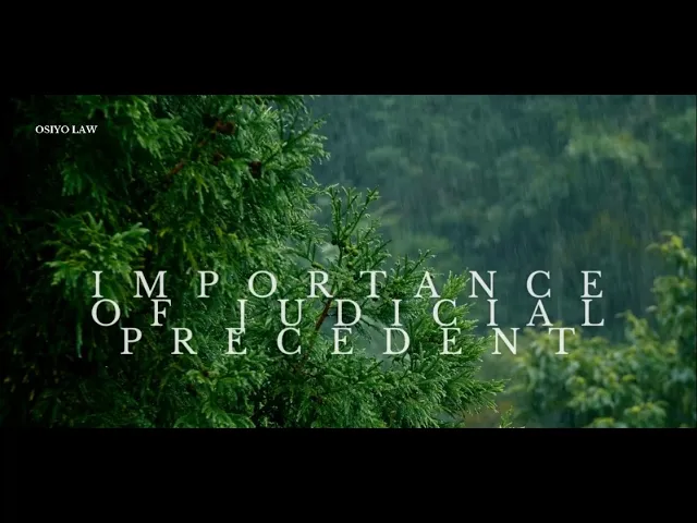'Video thumbnail for The Importance of Judicial Precedent'