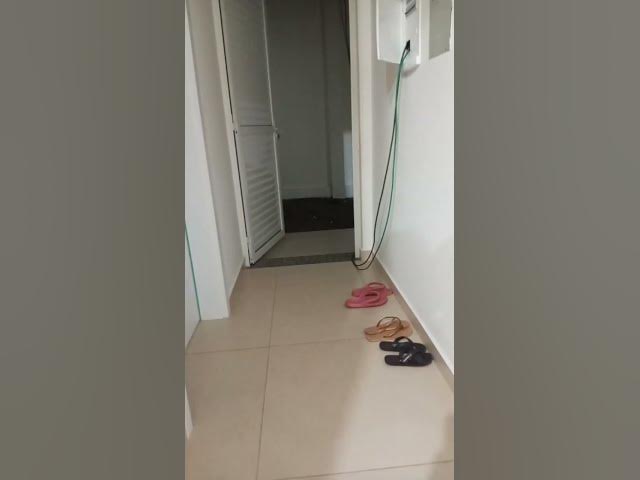 Video thumbnail for 15 de janeiro de 2025