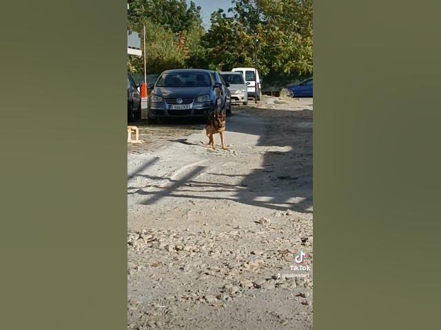 Video thumbnail for Gsd 101 2023 10 25 153327898