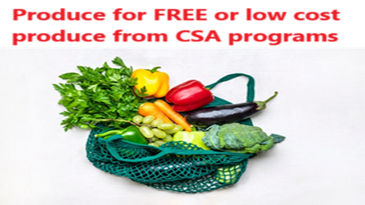 Video thumbnail for How CSA Programs Benefit Low-Income Families