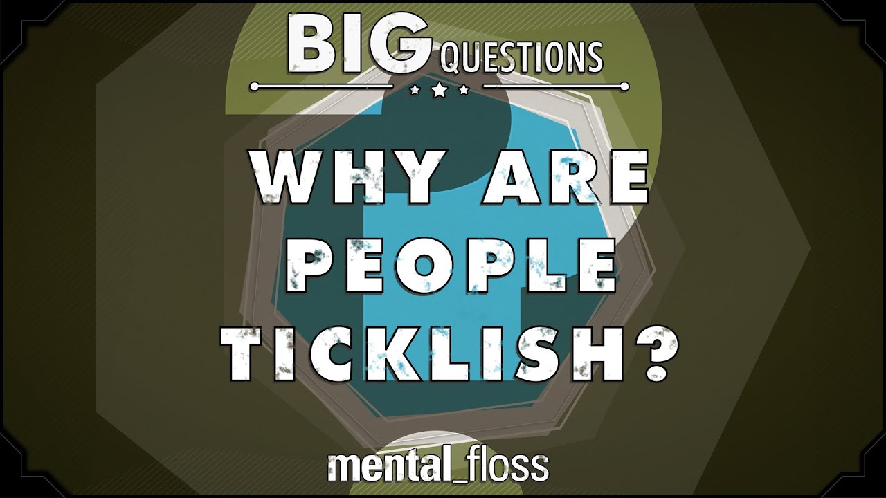 Video thumbnail for Why are people ticklish? - Big Questions - (Ep. 39)