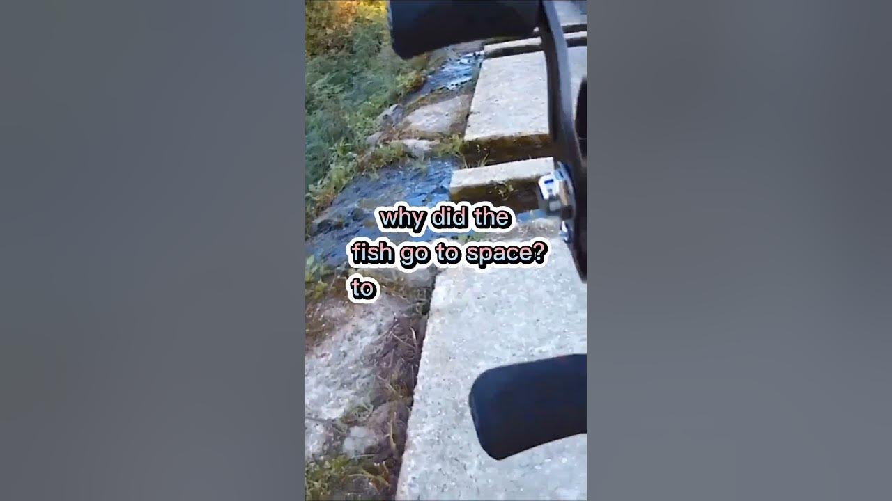 'Video thumbnail for Fishing Joke 29 #jokes #fishingjokes #humor'