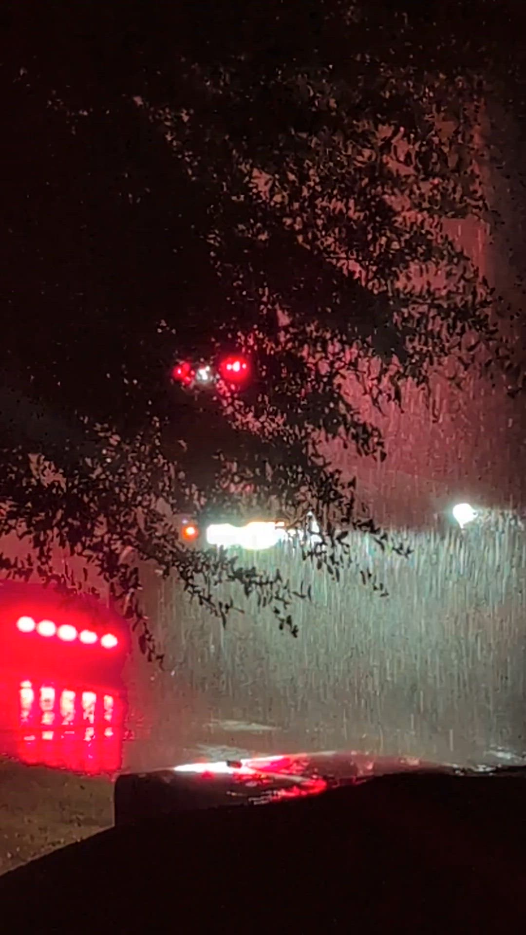 Video thumbnail for 1000003956