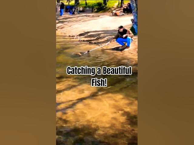 'Video thumbnail for Hooking Bright Yellow Fish! 🎣 Lightning Has stuck!'