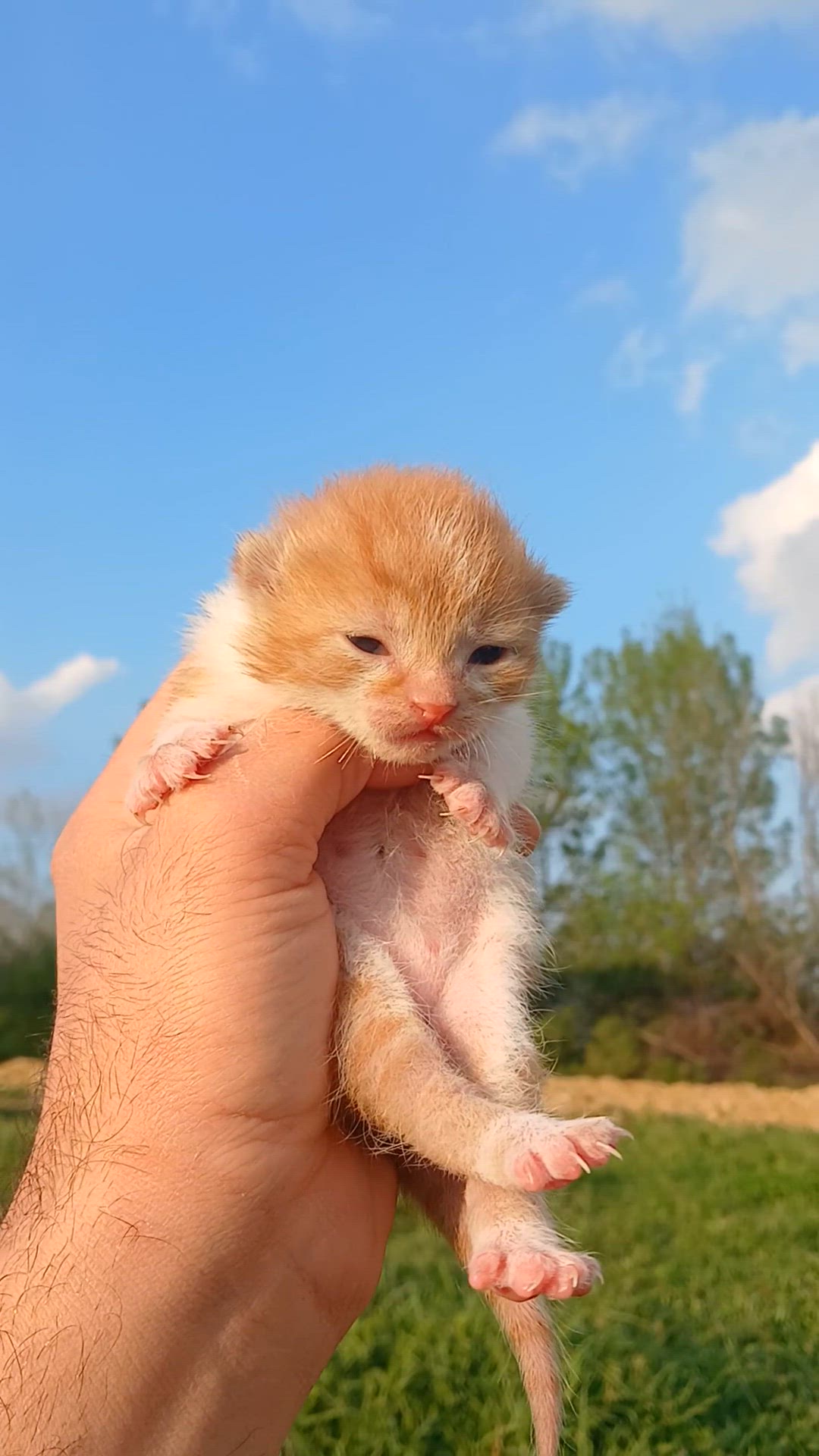 Video thumbnail for 13430040 1080 1920 30fps