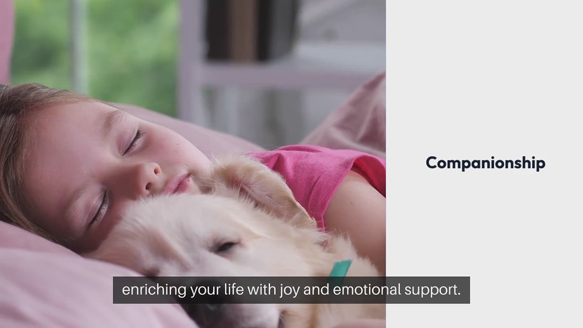 Video thumbnail for Adopting a Pet Rewards and Challenges