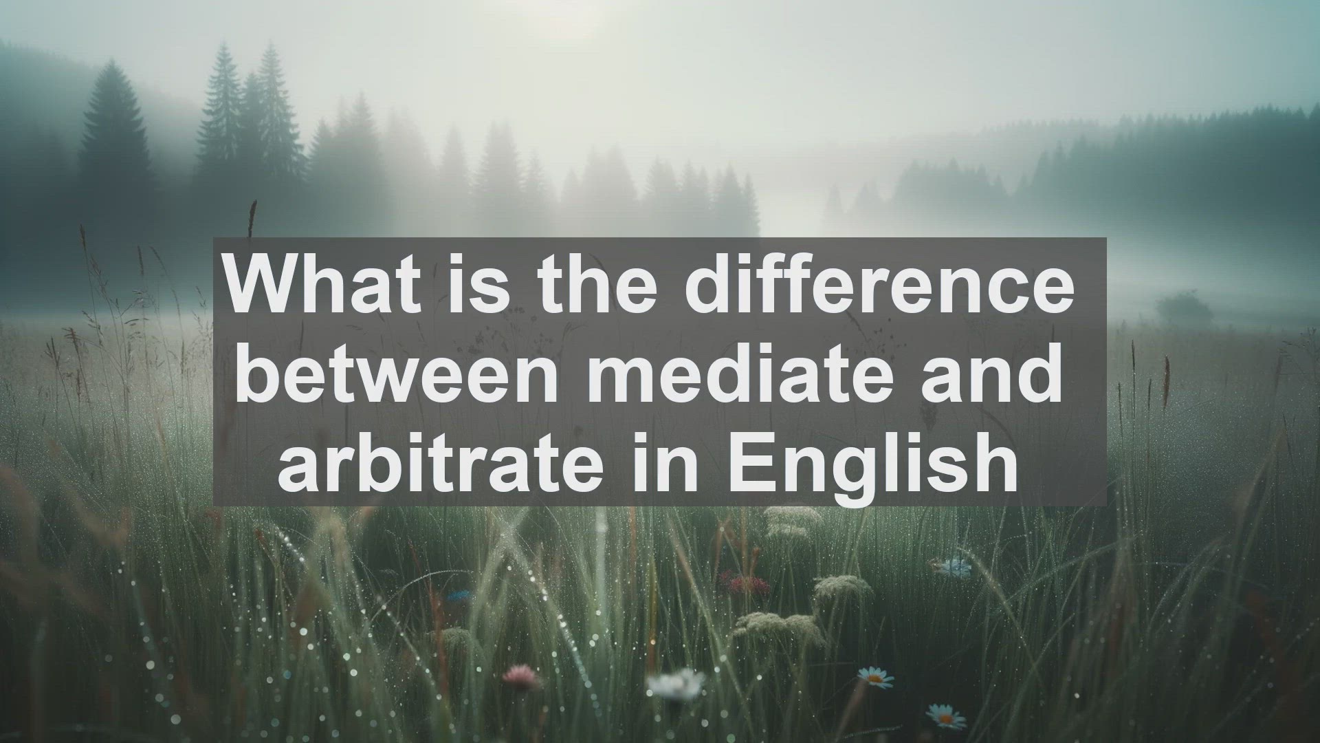 'Video thumbnail for What is the difference between mediate and arbitrate in English?'