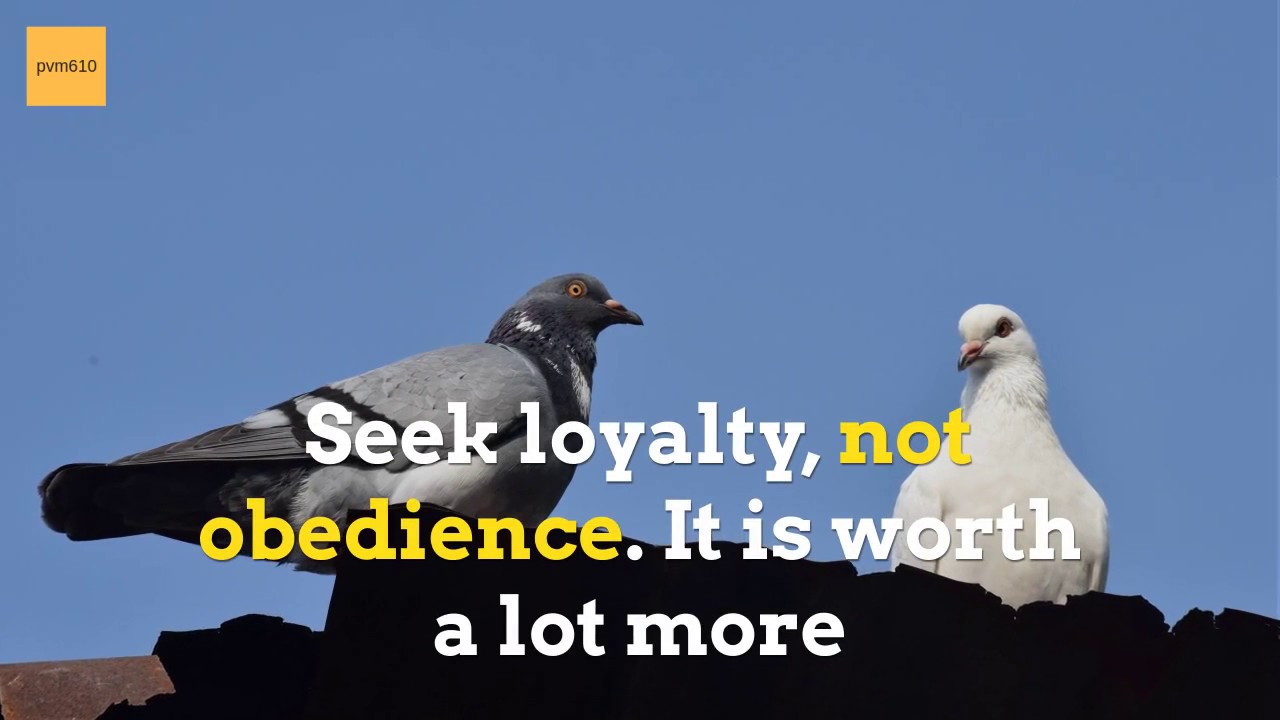 Video thumbnail for Are You Kind, Helpful, Passionate, Humble and Honest?