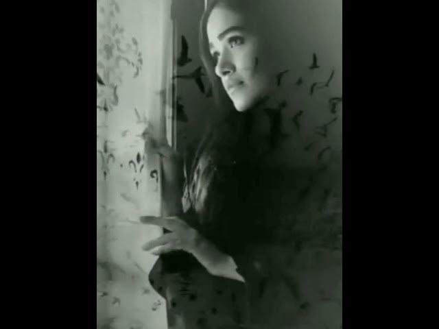 Video thumbnail for 13 February 2024