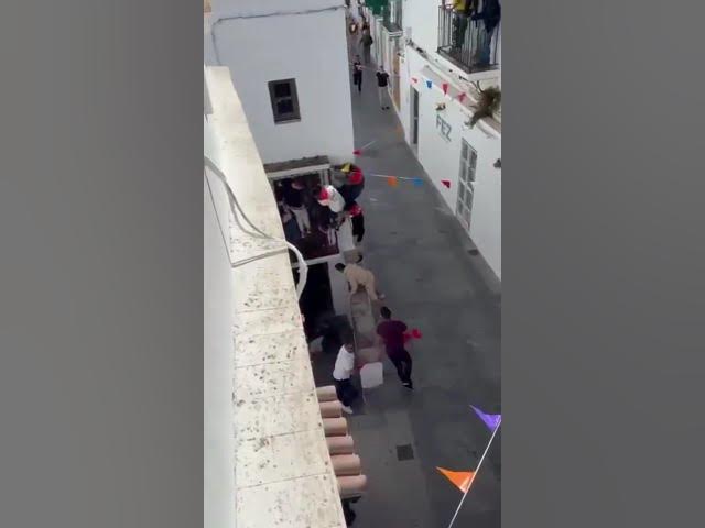 'Video thumbnail for Runner taken to hospital via helicopter after bull tosses him into the air in Spain's Cadiz'