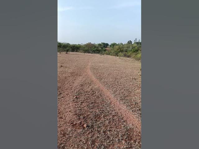 Video thumbnail for எனது அனுபவம் - 01 | Life Lessons | Motivational Speech | Tamil | Muniyandi VS