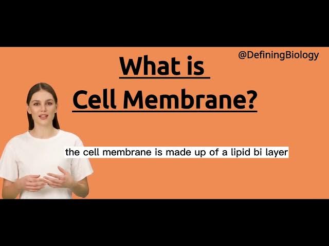 'Video thumbnail for What is The Cell Membrane  Definition And Functions Of The cell Membrane?'