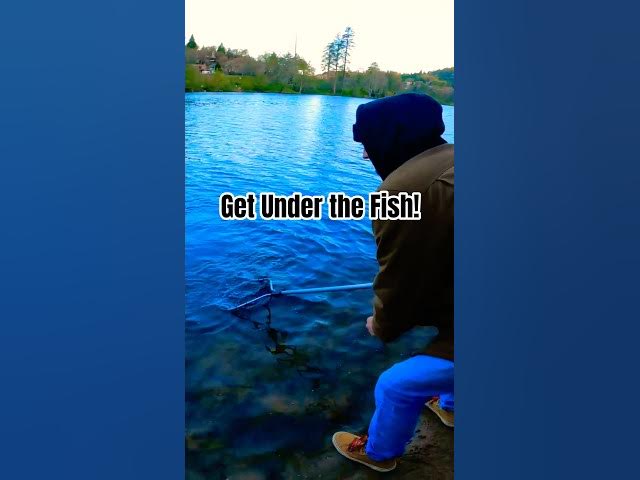 'Video thumbnail for Trout Action! Hooking into Big Fish at Local Fishing Lake 🎣'