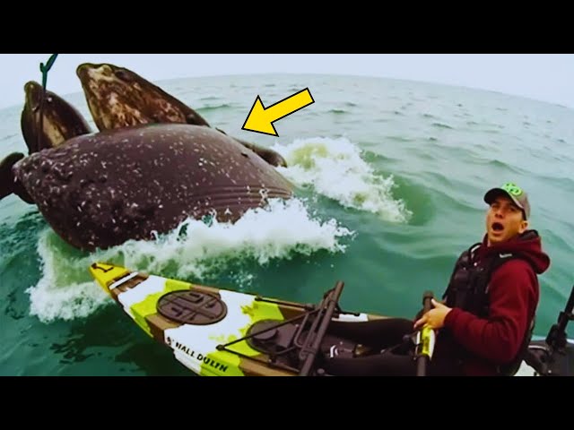 Video thumbnail for Man Kayaks Into a Calm Ocean – Seconds Later, This Happens In Front Of Him