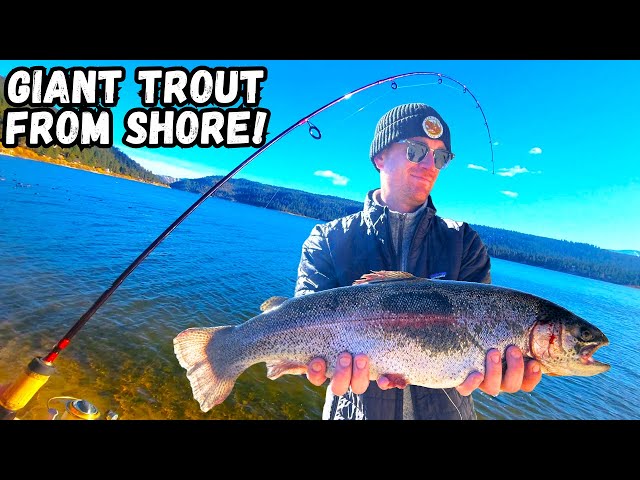 Video thumbnail for Catching GIANT Trout From Shore at Big Bear Lake | Amazing Fall Fishing!